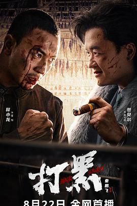 打黑 2024 中国 4K [国语 1.71G]