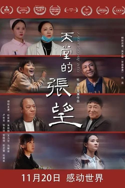 天堂的张望 (2020) 4K 高码