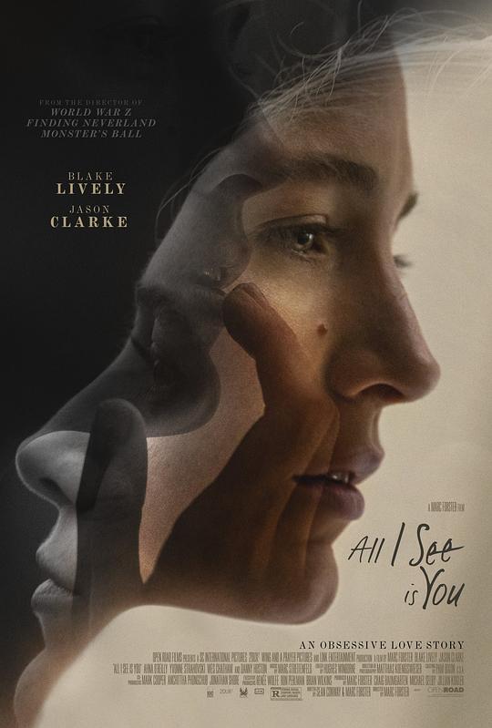 我所看到的都是你 All I See Is You (2017) 1080p 原盘Remux 中文字幕 已刮削