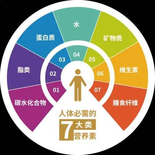 人体必需营养素大全