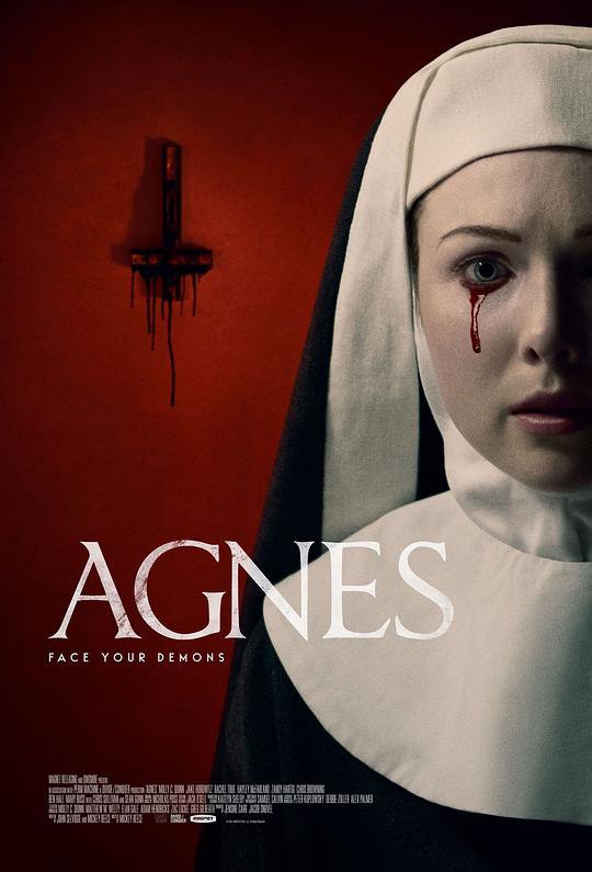 阿格尼斯 Agnes (2021) 1080p 原盘Remux 已刮削