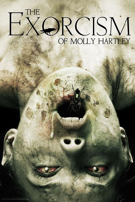 莫丽·哈特莉的驱魔 The Exorcism of Molly Hartley (2015) 1080p 原盘Remux 中文字幕 已刮削