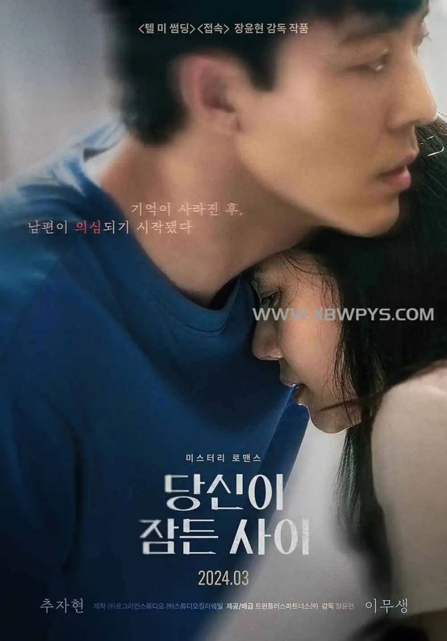 当你沉睡时 당신이 잠든 사이 (2024)韩语中字1080p