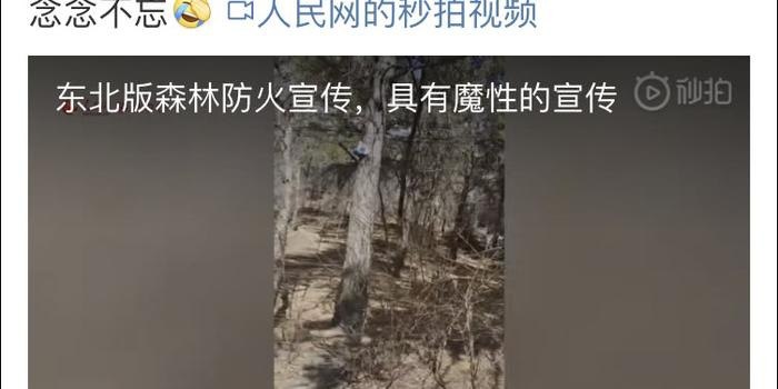 贼拉魔性东北话听东北人聊最有料的梗 唠最正宗的磕[pdf]