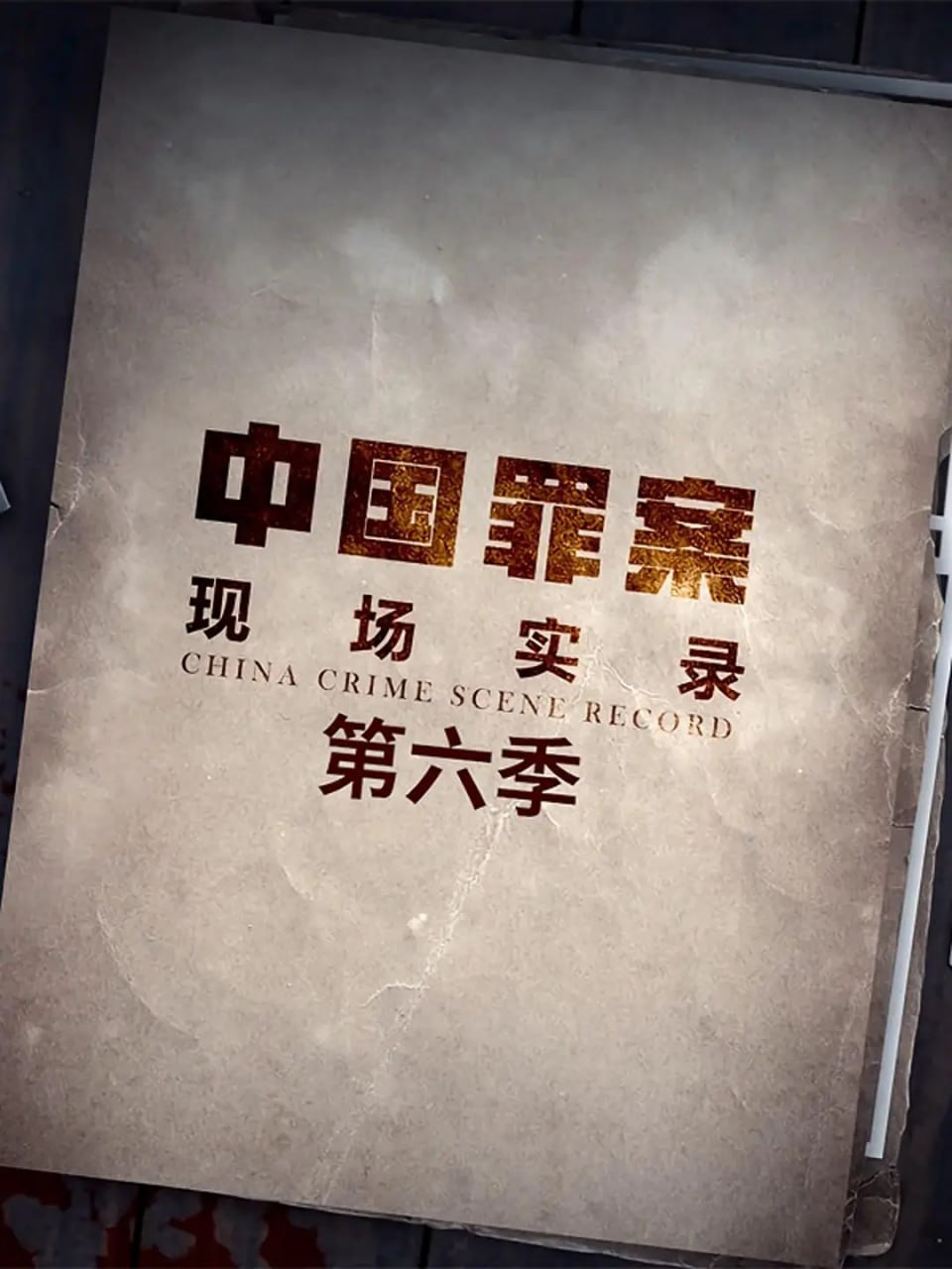 罪案现场实录 第六季 (2023)