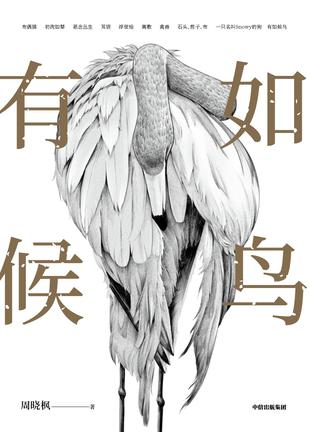有如候鸟 [﻿小说文学] [pdf+全格式]