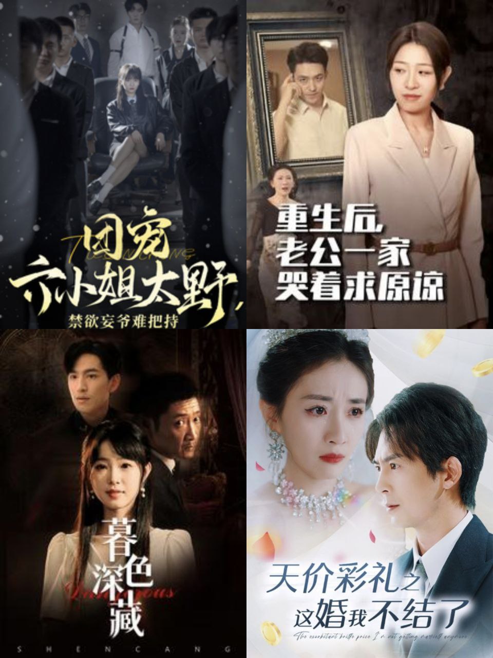 精选付费短剧 1030期更新 快手抖音爽剧