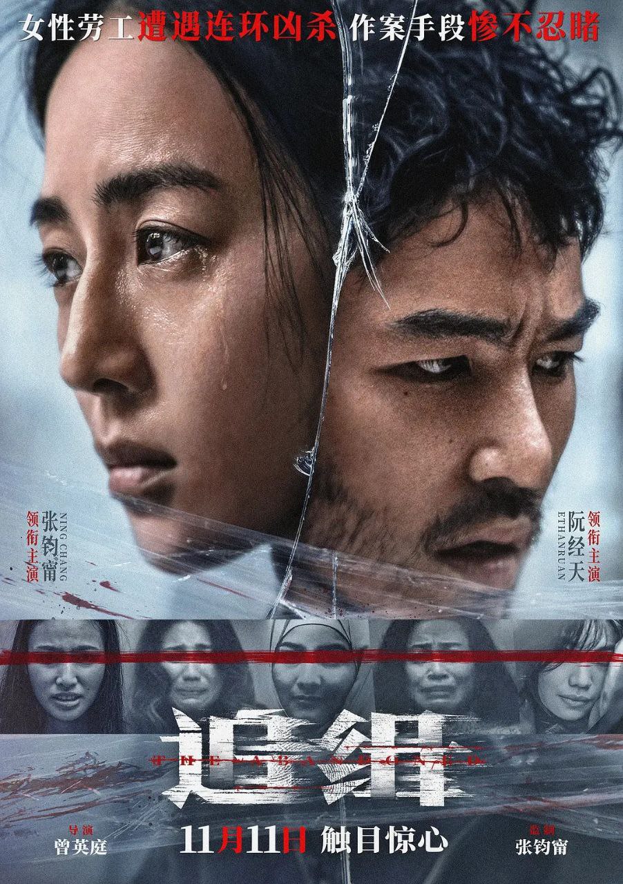 追缉(2022)