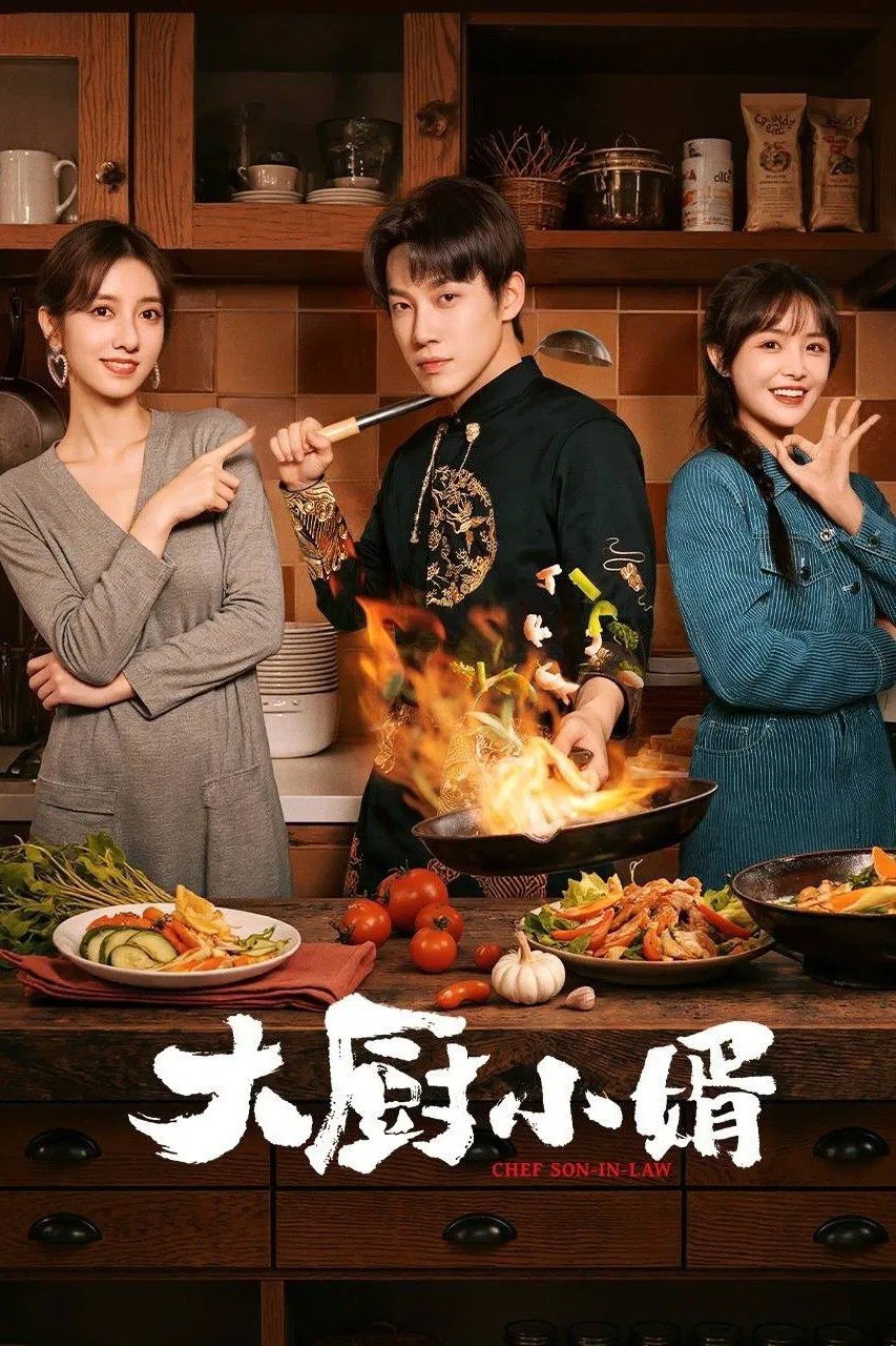 大厨小婿 (2025) 4K 更新17
