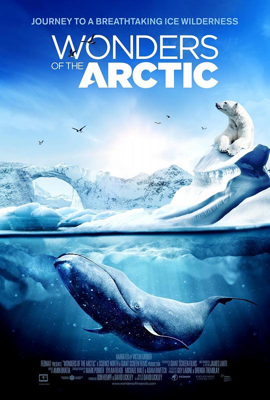 北极奇观 Wonders of the Arctic (2014) 4K/2160p 原盘Remux 中文字幕 已刮削