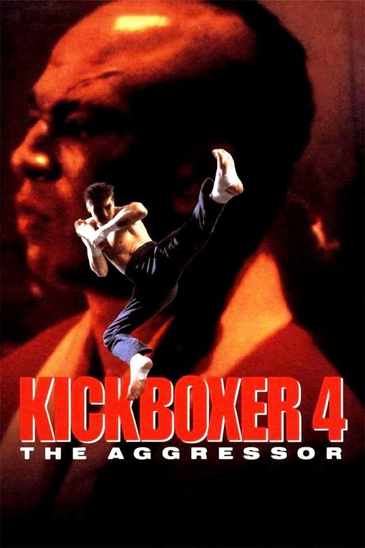 搏击之王4：入侵者 Kickboxer 4: The Aggressor (1994) 1080p 原盘Remux 中文字幕 已刮削