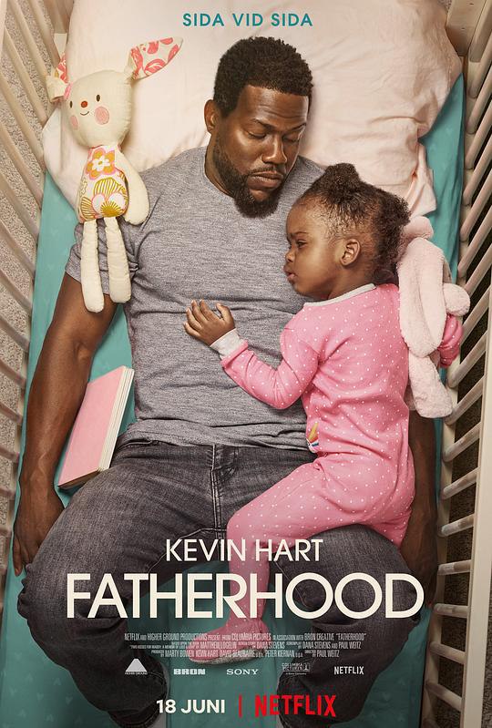 父亲的身份 Fatherhood (2021) 1080p 原盘Remux 中文字幕 已刮削