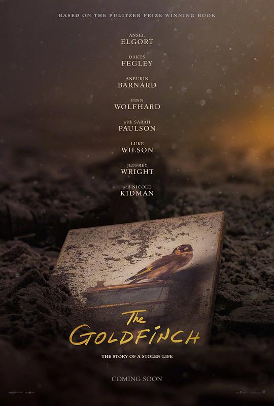 金翅雀 The Goldfinch (2019) 1080p 原盘Remux 中文字幕 已刮削