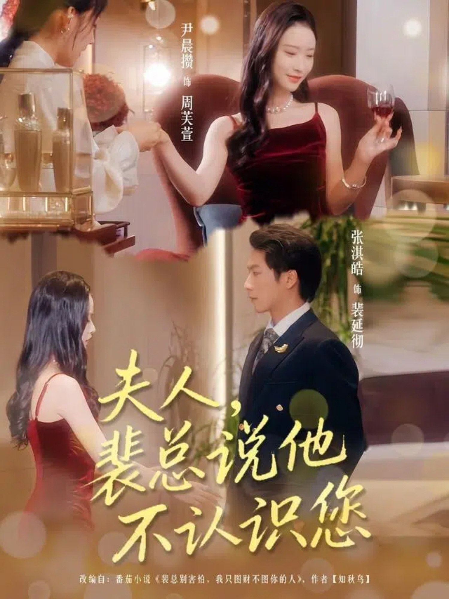 夫人裴总说他不认识您 (75集) 张淇皓&尹晨攒 | 短剧