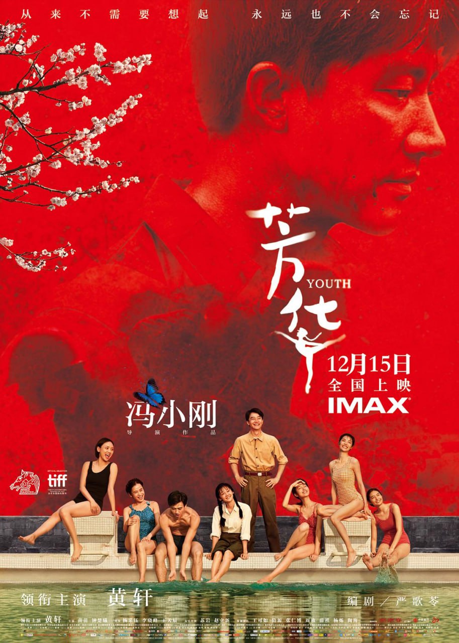 芳华 国语中字 高码率 2014 4K