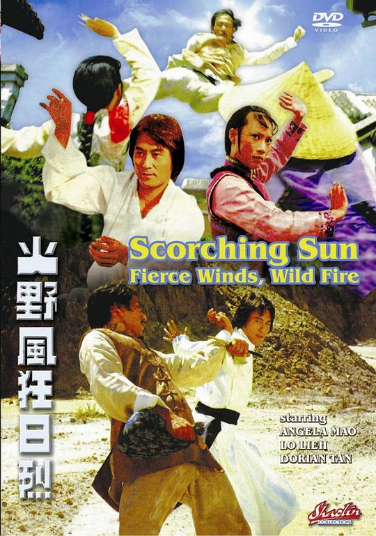 烈日狂风野火 烈日狂風野火 (1979) 1080p 原盘Remux 中文字幕 已刮削