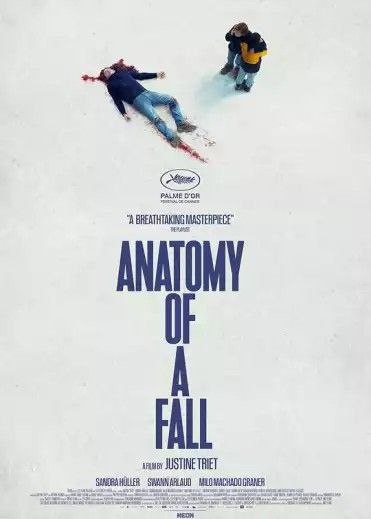 坠楼死亡的剖析 (2023) 1080P 中字外挂字幕