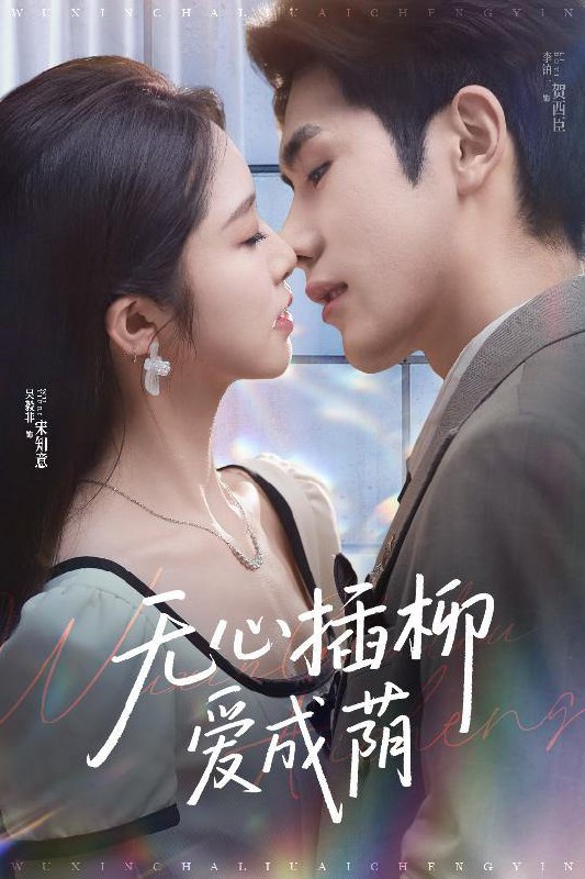 无心插柳爱成荫（50集）李铂一&吴毅非  /最新 短剧