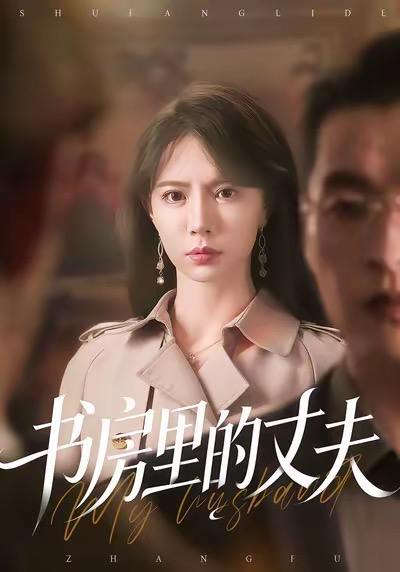 书房里的丈夫（100集）辛宛柔&赵焕城