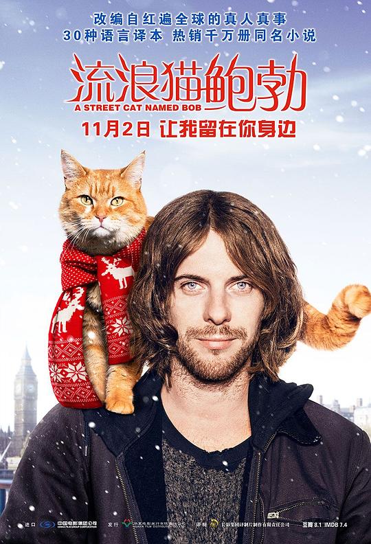 流浪猫鲍勃 A Street Cat Named Bob (2016) 1080p 原盘Remux 中文字幕 已刮削