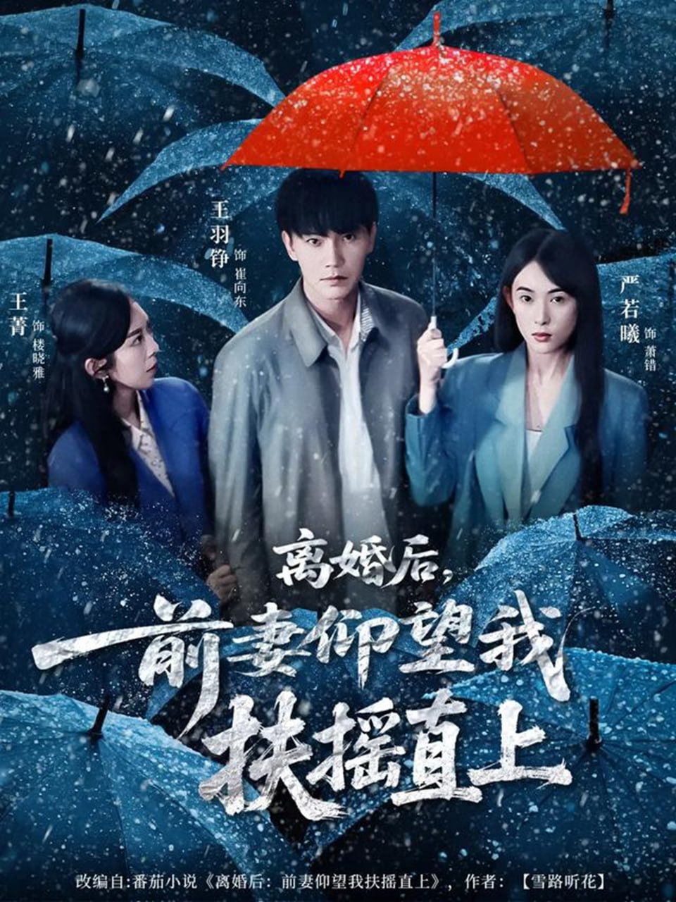 离婚后，前妻仰望我扶摇直上（84集）王羽铮＆严若曦|短剧