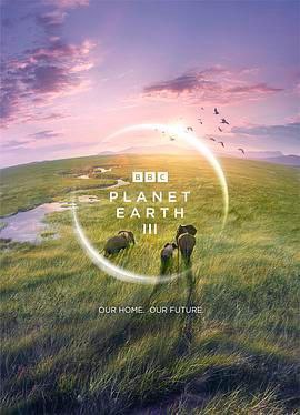 BBC纪录片地球脉动 S01-S03季全集 4K HDR 高码率 1080P 国英双语 中英字幕
