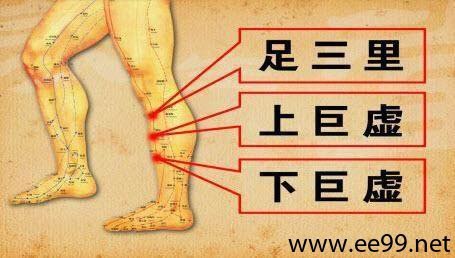 3D男性经络穴位图册 老中医养生堂 白金珍藏版[pdf]