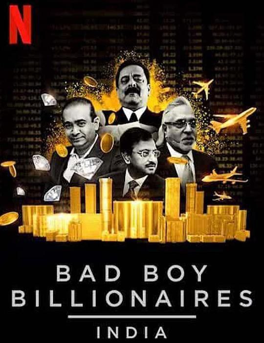 印度亿万富豪陨落记 (2020) 4K HDR 中字内嵌字幕