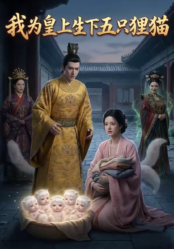 我为皇上生下五只狸猫（25集）|短剧