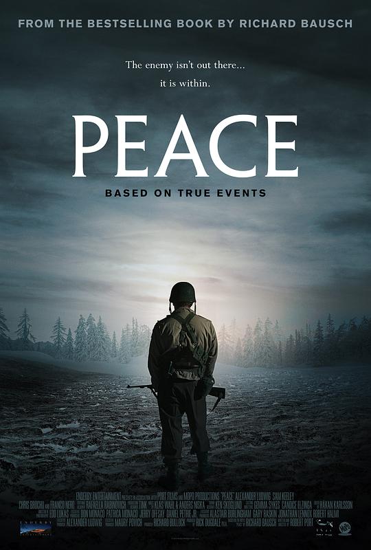 和平 Peace (2019) 1080p 原盘Remux 中文字幕 已刮削