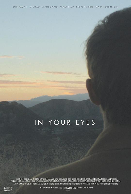 你眼中的世界 In Your Eyes (2014) 1080p 原盘Remux 中文字幕 已刮削