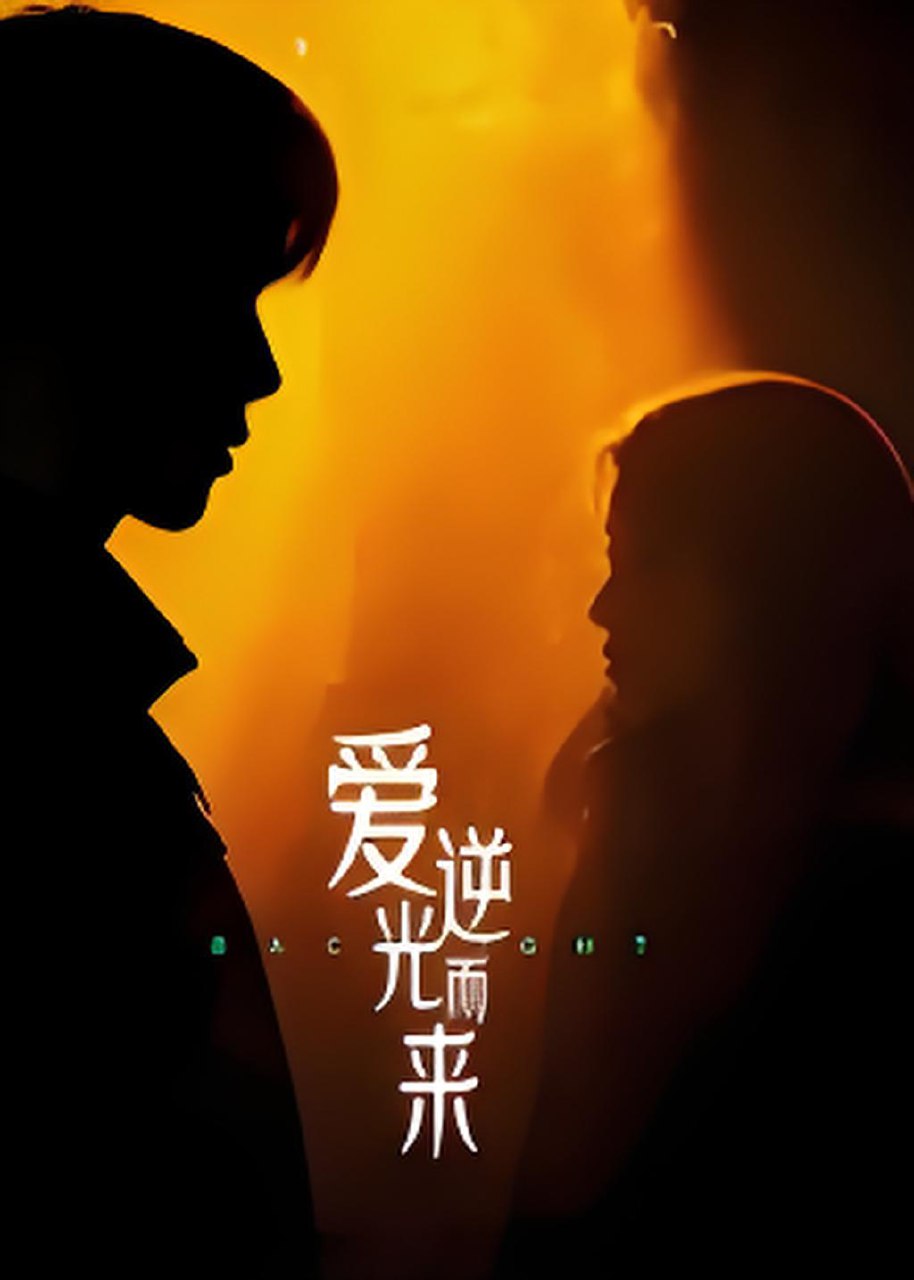 爱逆光而来 (33集) 曾贤正 | 短剧