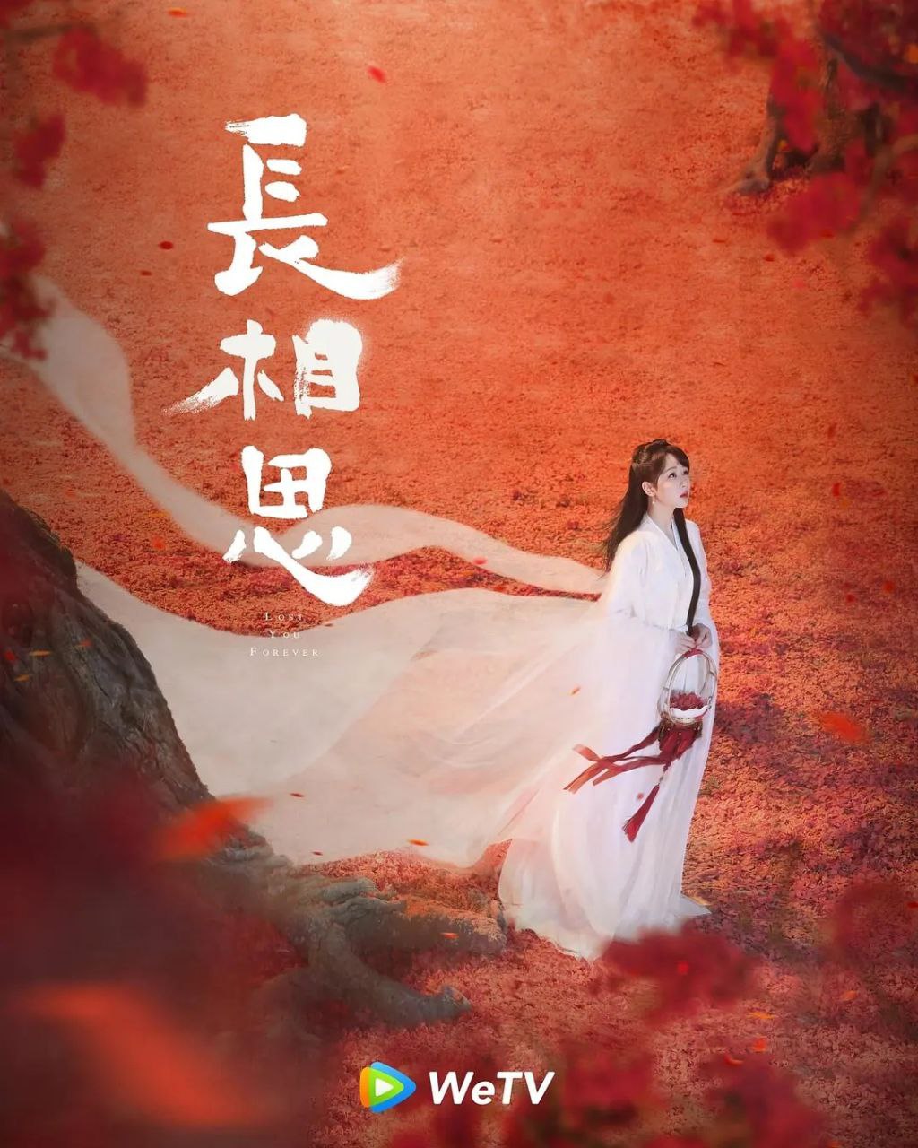 长相思(两季合集)