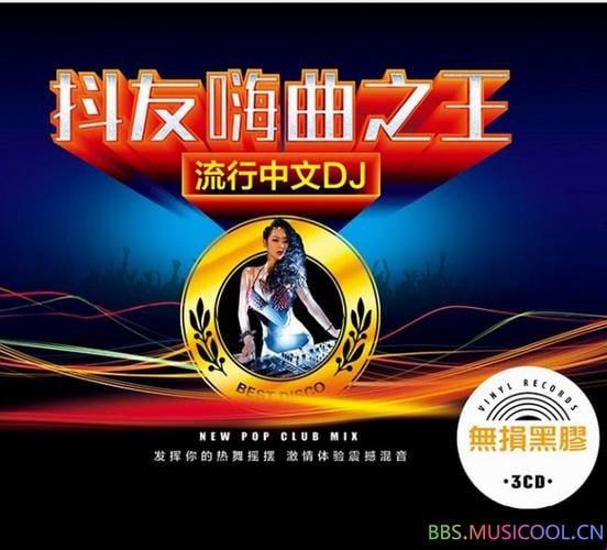 抖友中文DJ歌曲(200首)