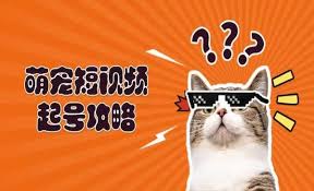 萌宠短视频快速起号流量课
