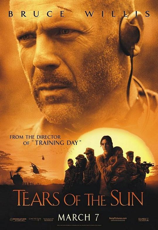 太阳泪 Tears of the Sun (2003) 1080p 原盘Remux 中文字幕 已刮削