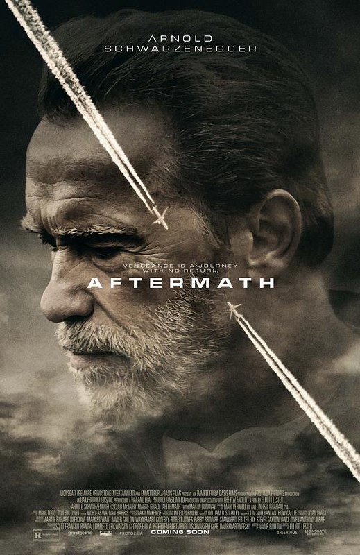 空难余波 Aftermath (2017) 1080p 原盘Remux 中文字幕 已刮削