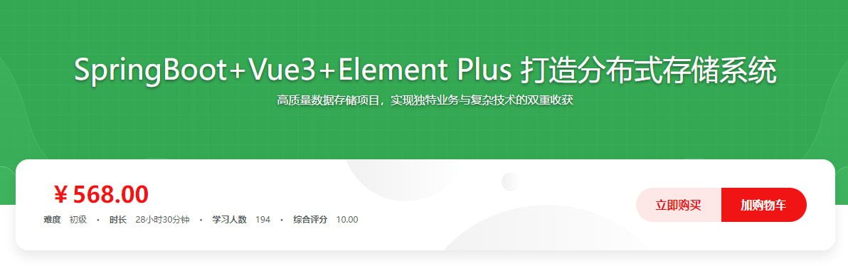 慕课实战 - SpringBoot+Vue3+Element Plus打造私人分布式存储系统