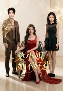 桑小姐她不好惹 (103集) | 短剧