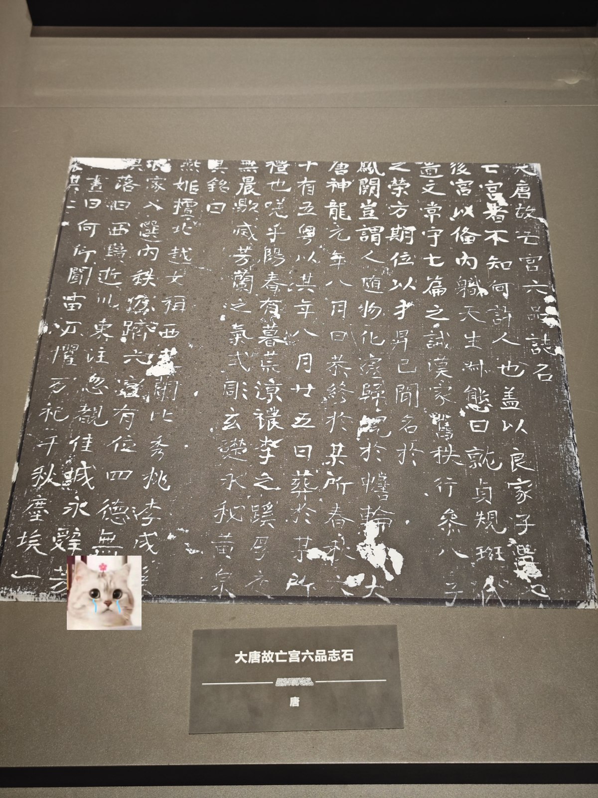 假日博物馆：博物馆里的中国通史1-7季全系列，沉浸式探索中华文明