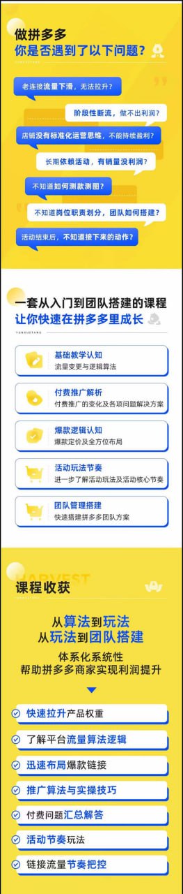 拼多多·进阶课：极限拉升/盈利突破：从算法到玩法 从玩法到团队搭建-18节