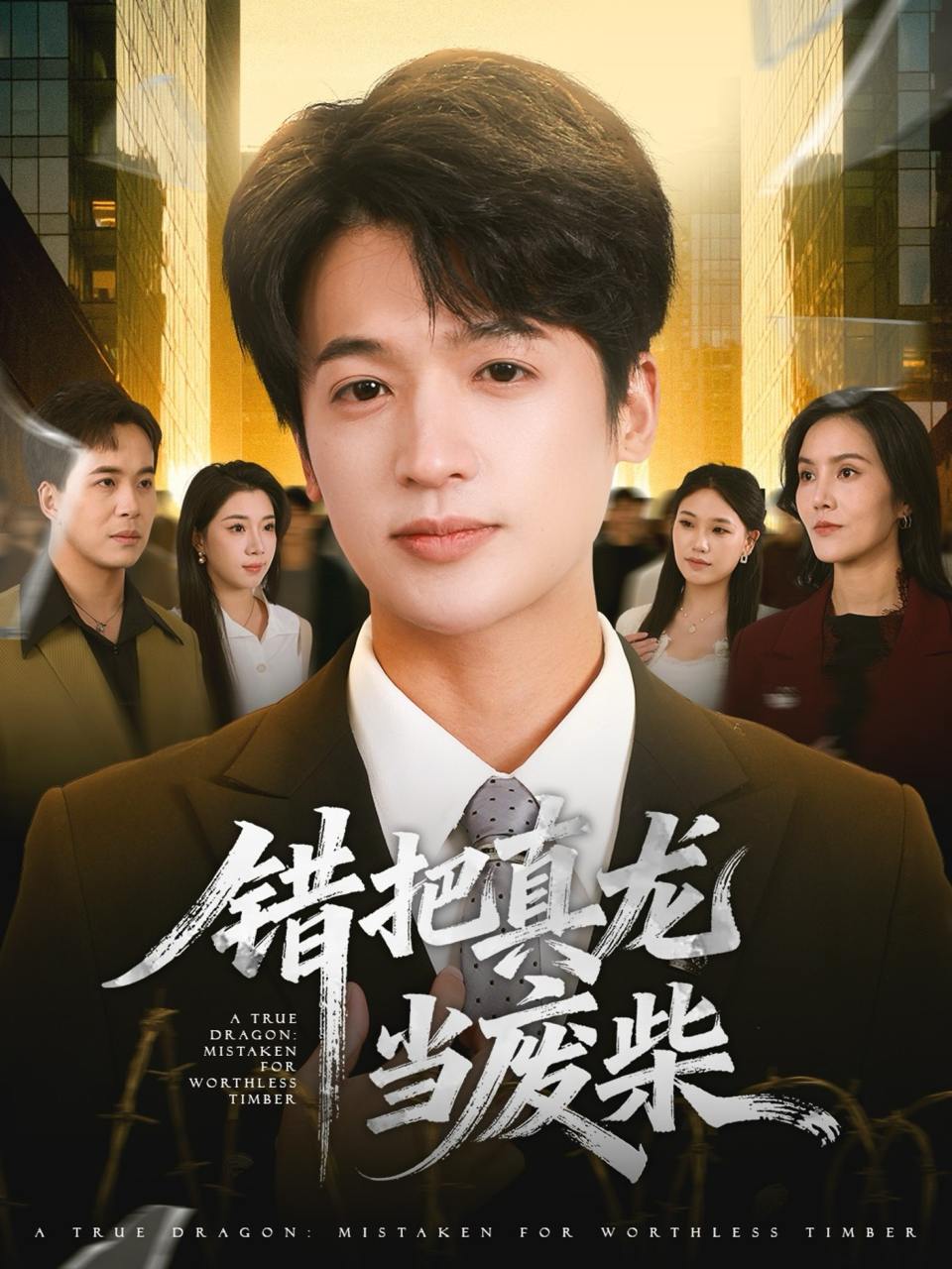 2025年11月20日 短剧合集目录11