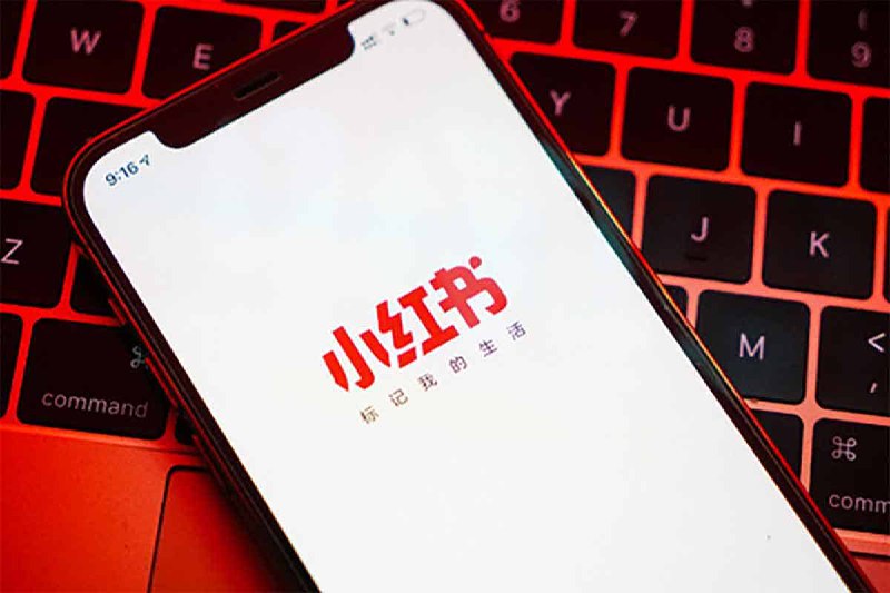 （第3期）实战经验，快速涨粉，迅速变现