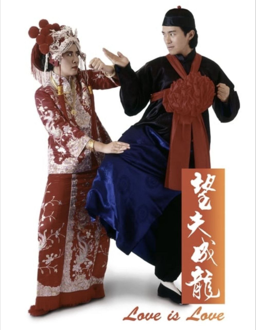 望夫成龙 (1990) 1080P REMUX 国粤多音轨 中字外挂/内嵌字幕