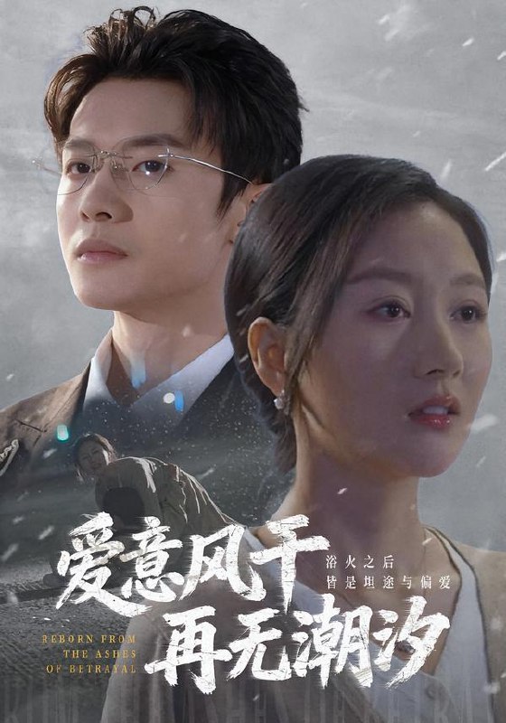 爱意风干再无潮汐 (69集) 程汁&魏梦迪&蔡长源 | 短剧