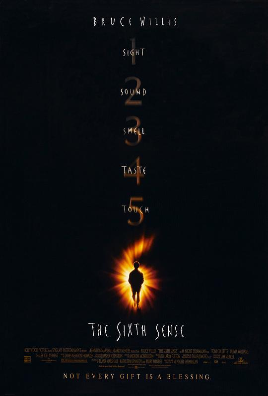 第六感 The Sixth Sense (1999) 1080p 原盘Remux 中文字幕 已刮削