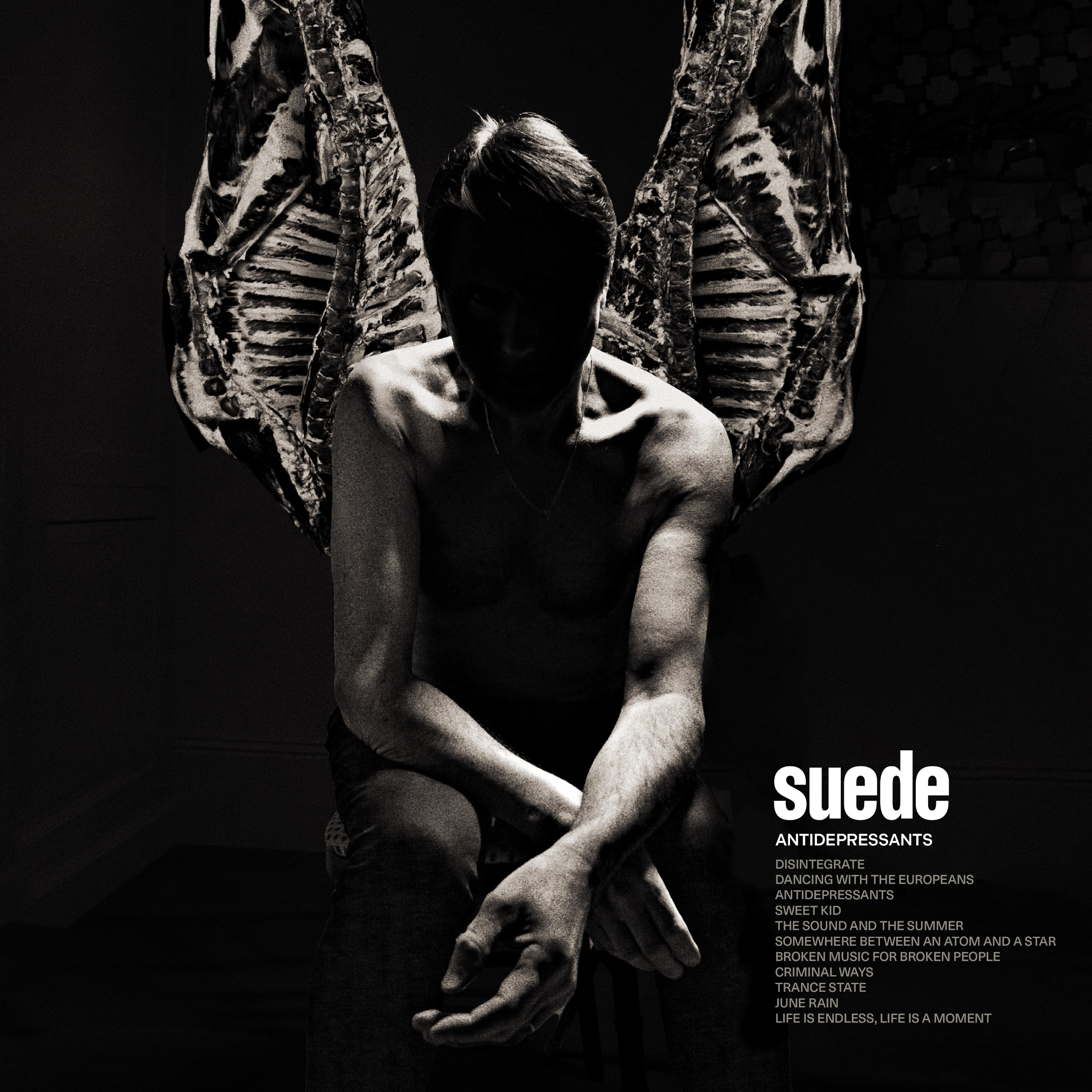 Suede Antidepressants (2025)