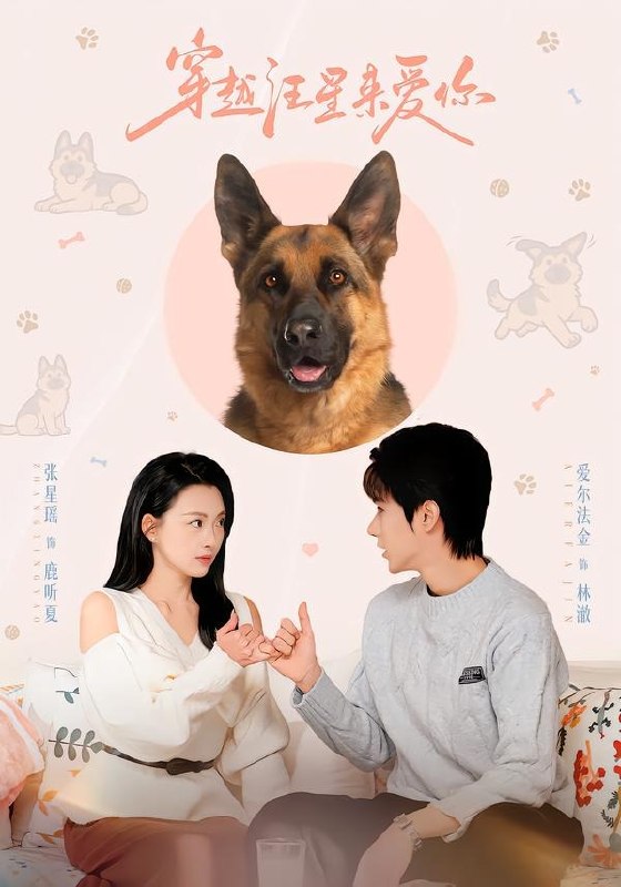 穿越汪星来爱你 (62集) 爱尔法金&张星瑶 | 短剧