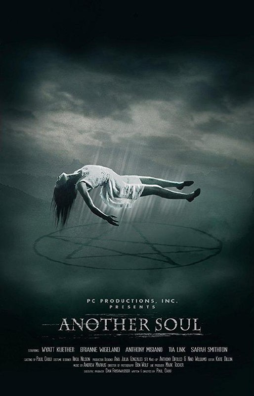 另一个灵魂 Another Soul (2018) 1080p 原盘Remux 已刮削