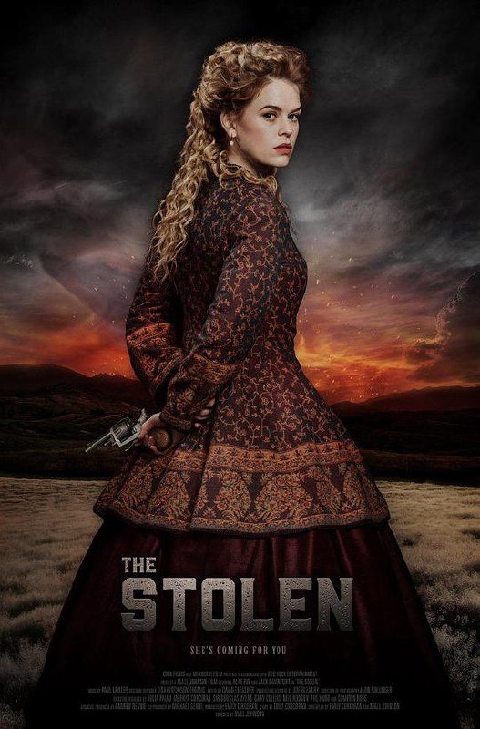 被窃之物 The Stolen (2017) 1080p 原盘Remux 中文字幕 已刮削